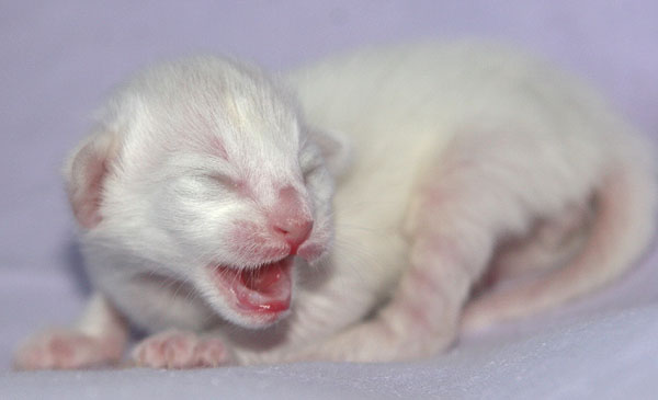 Photo: Carolin Skirl