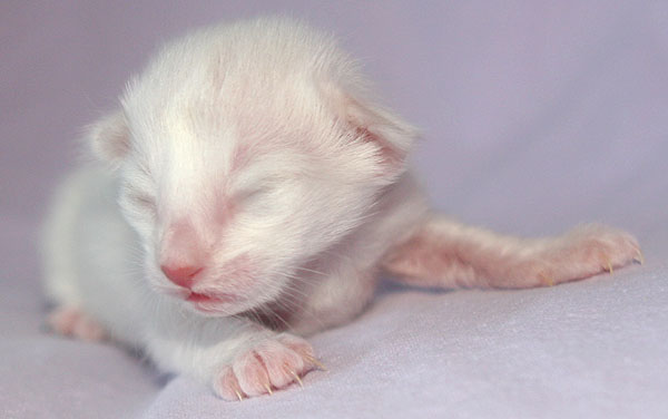 Photo: Carolin Skirl