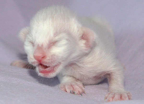 Photo: Carolin Skirl