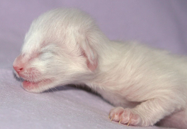 Photo: Carolin Skirl