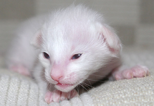 Photo: Carolin Skirl