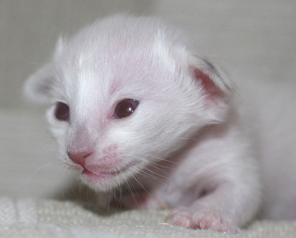 Photo: Carolin Skirl