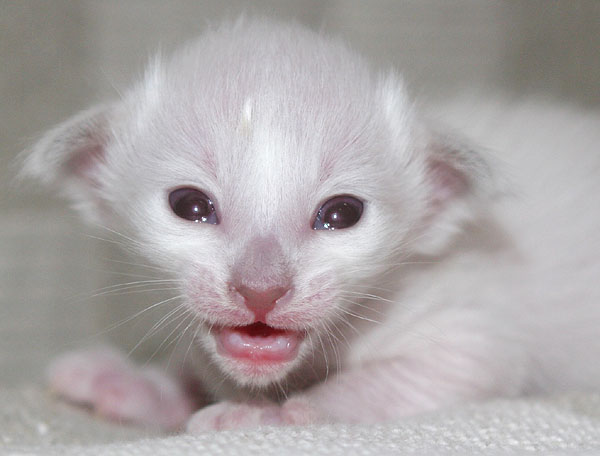 Photo: Carolin Skirl