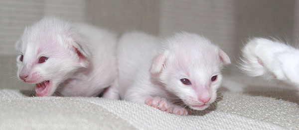 Photo: Carolin Skirl