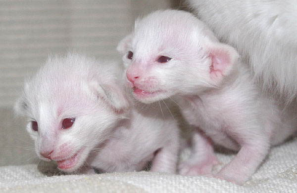 Photo: Carolin Skirl