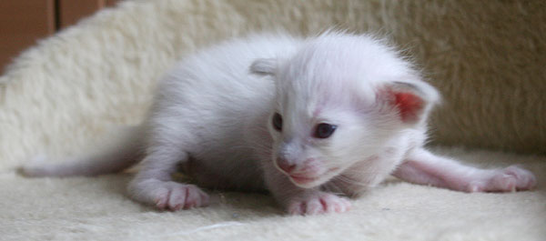 Photo: Carolin Skirl