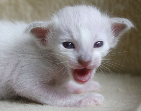 Photo: Carolin Skirl