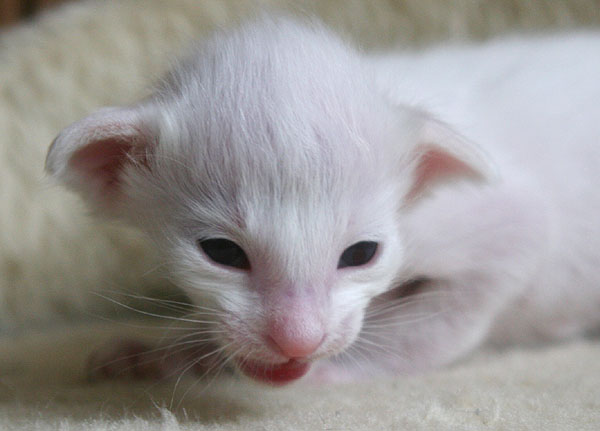 Photo: Carolin Skirl