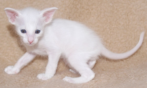 Photo: Carolin Skirl