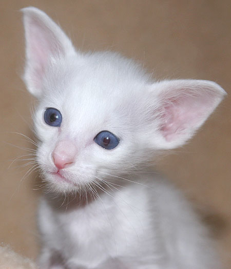 Photo: Carolin Skirl