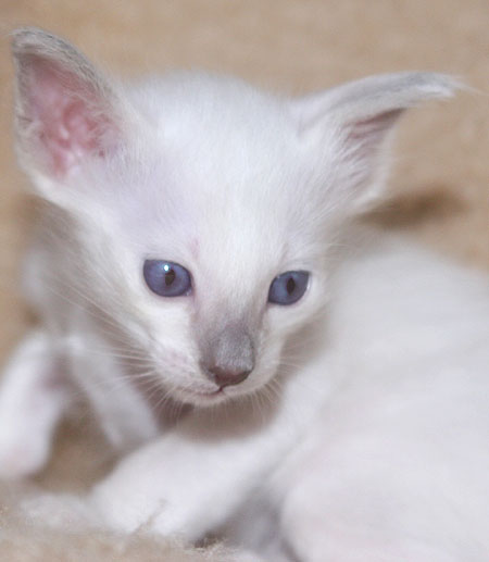 Photo: Carolin Skirl