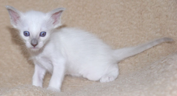 Photo: Carolin Skirl