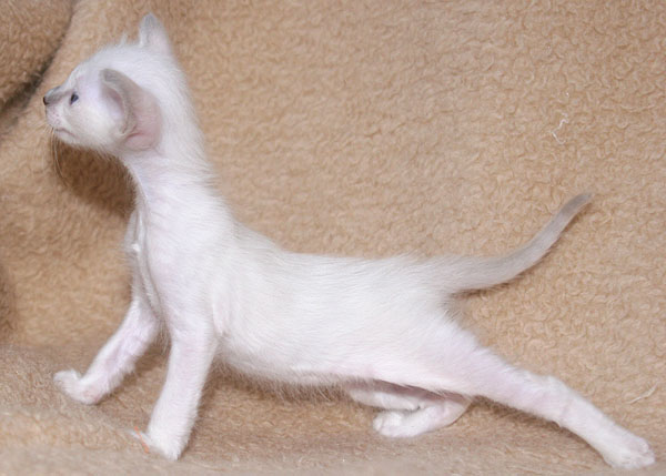 Photo: Carolin Skirl