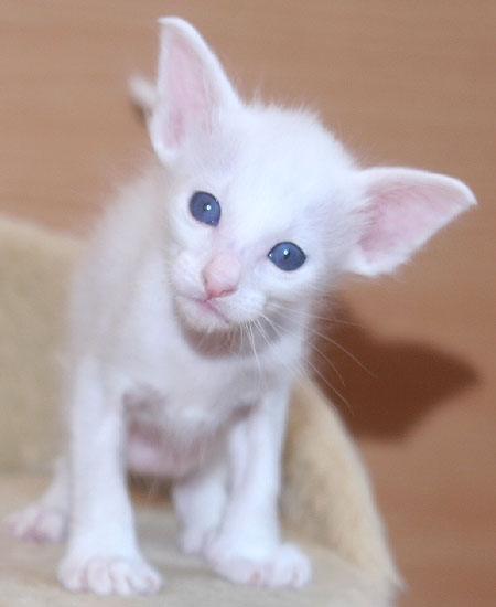 Photo: Carolin Skirl