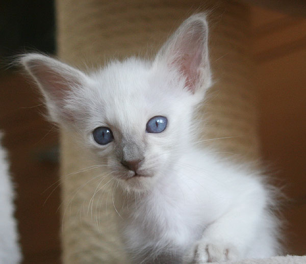 Photo: Carolin Skirl