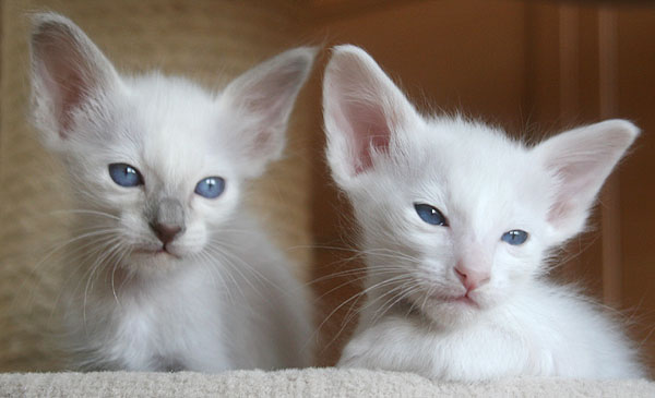 Photo: Carolin Skirl