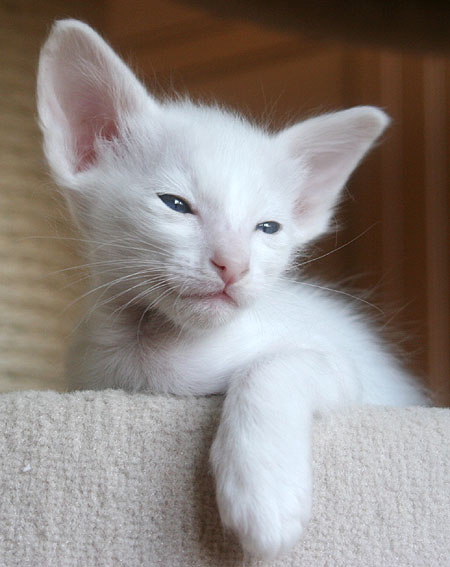 Photo: Carolin Skirl