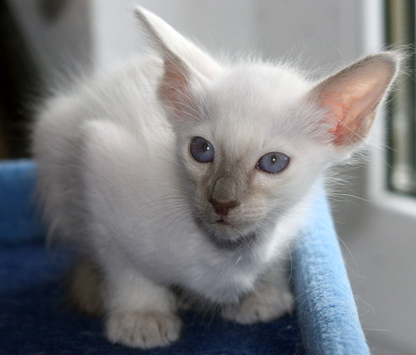 Photo: Carolin Skirl