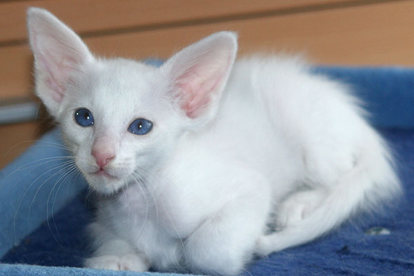 Photo: Carolin Skirl