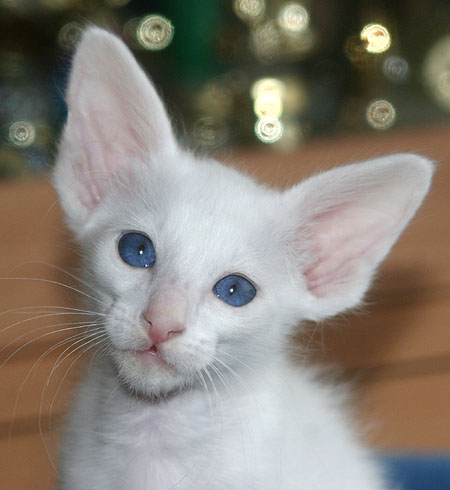 Photo: Carolin Skirl