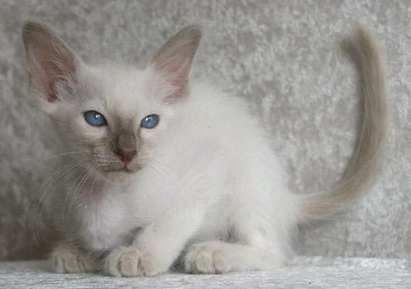 Photo: Carolin Skirl