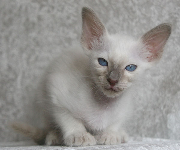 Photo: Carolin Skirl