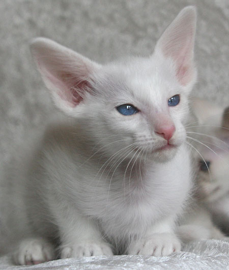 Photo: Carolin Skirl