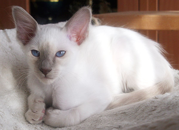 Photo: Carolin Skirl