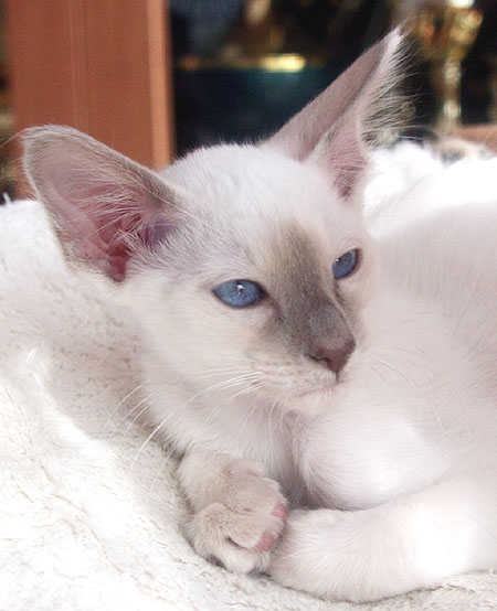 Photo: Carolin Skirl