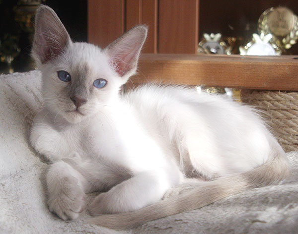 Photo: Carolin Skirl