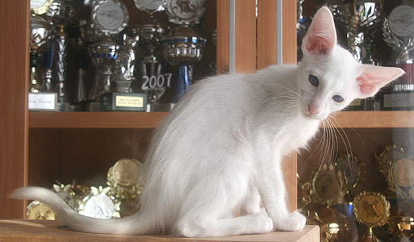 Photo: Carolin Skirl