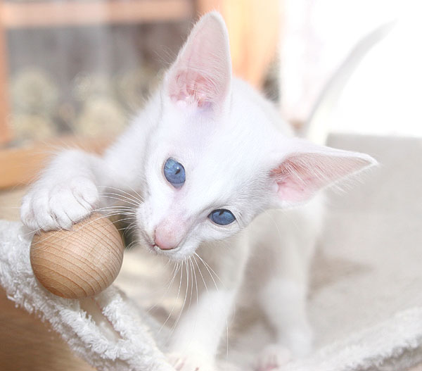 Photo: Carolin Skirl