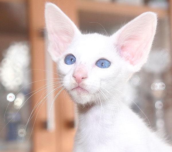 Photo: Carolin Skirl