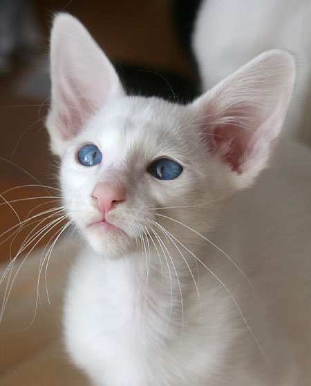 Photo: Carolin Skirl