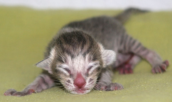 Photo: Carolin Skirl