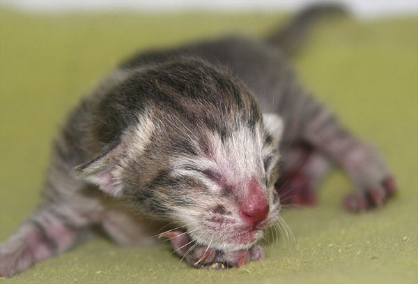 Photo: Carolin Skirl