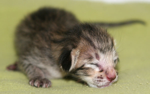 Photo: Carolin Skirl