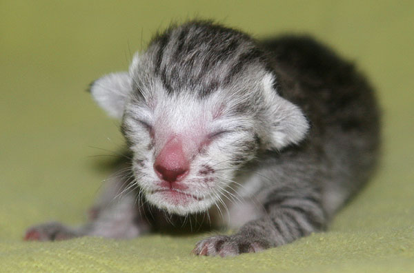 Photo: Carolin Skirl