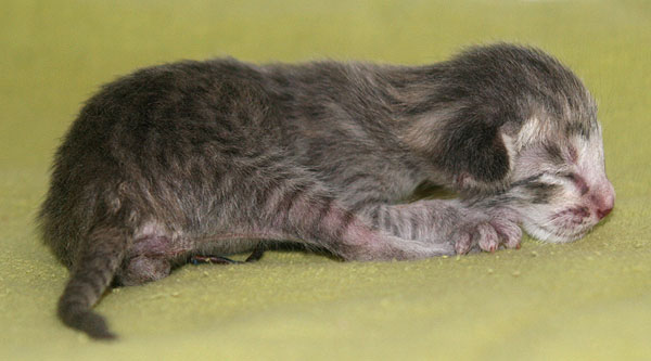 Photo: Carolin Skirl