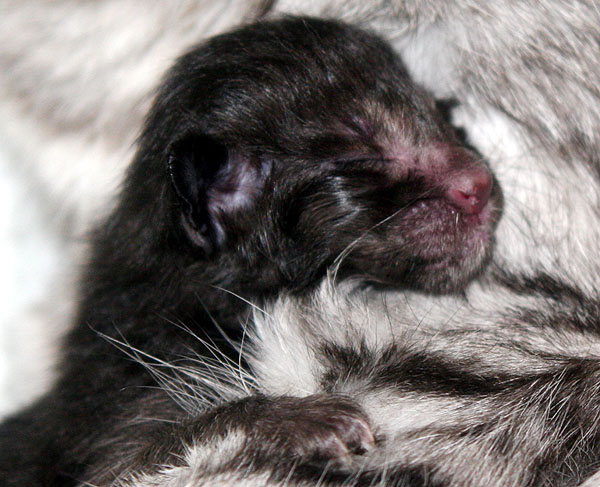 Photo: Carolin Skirl