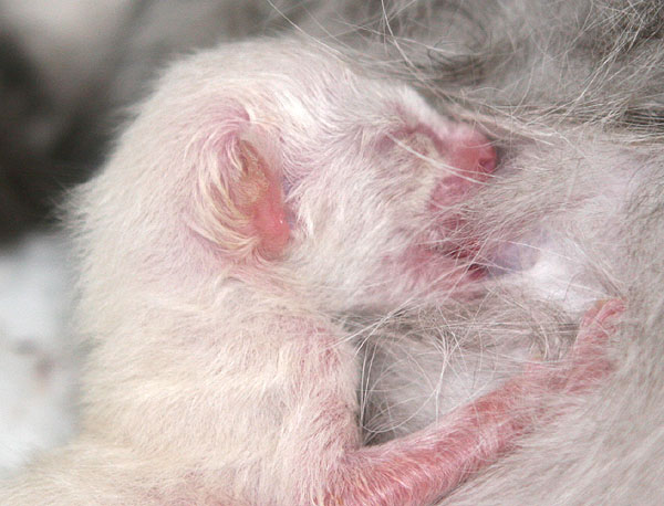 Photo: Carolin Skirl