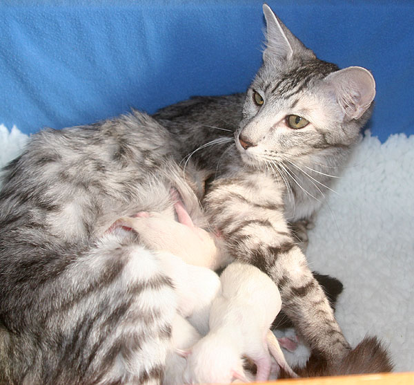 Photo: Carolin Skirl