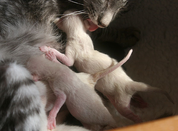 Photo: Carolin Skirl