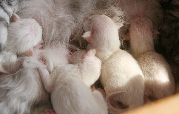 Photo: Carolin Skirl