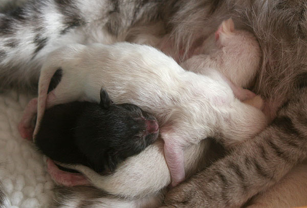 Photo: Carolin Skirl