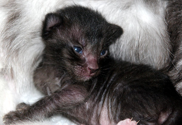 Photo: Carolin Skirl