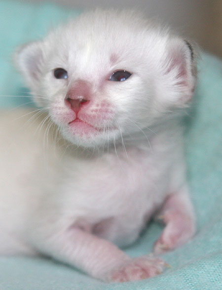 Photo: Carolin Skirl