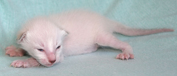 Photo: Carolin Skirl