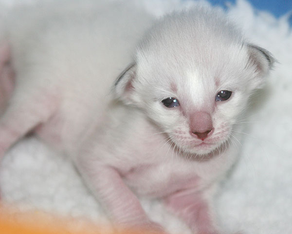 Photo: Carolin Skirl