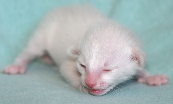 Photo: Carolin Skirl